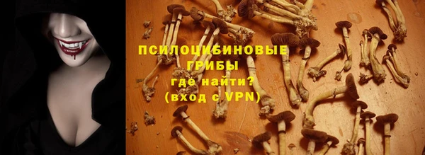 первитин Алексеевка