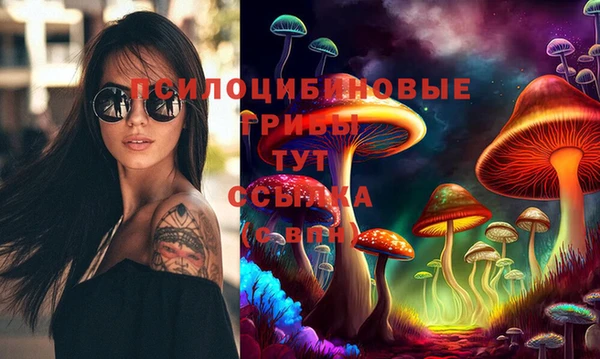 гидра Абдулино