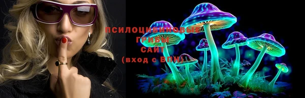 гашик Абинск