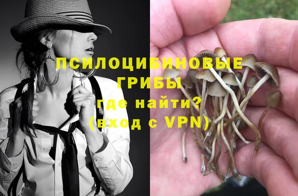 первитин Алексеевка