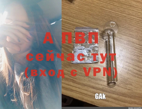 гашик Абинск