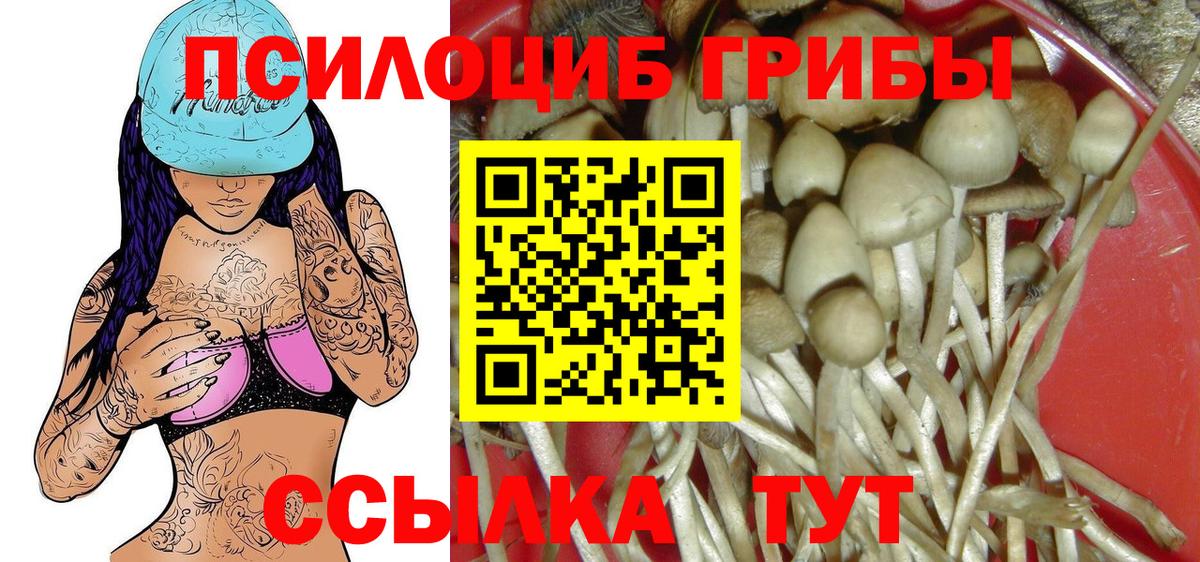 Галлюциногенные грибы мухоморы Дятьково
