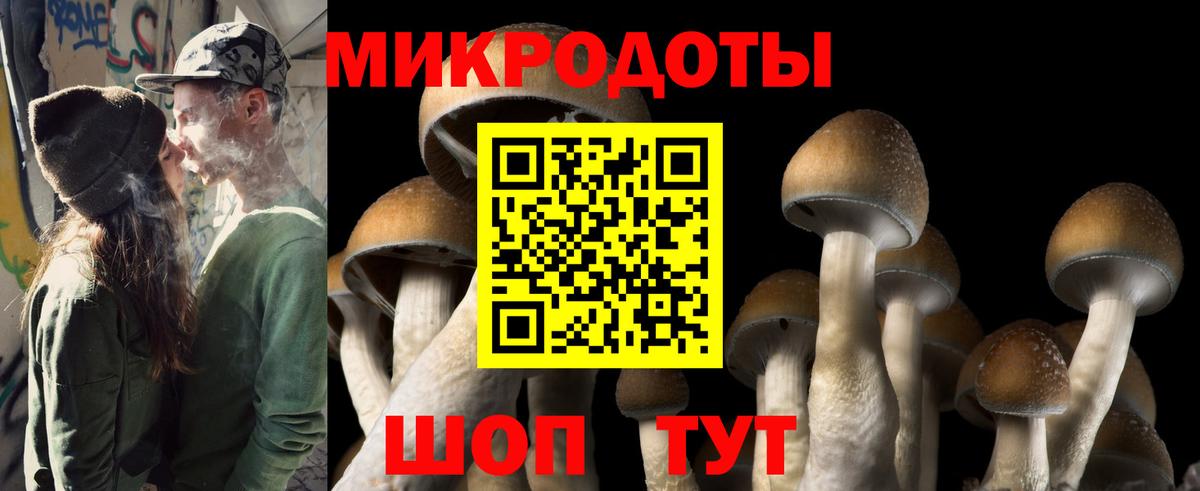 наркошоп  Псилоцибиновые грибы ЛСД  Дятьково  Вход с VPN  Галлюциногенные грибы Magic Shrooms 